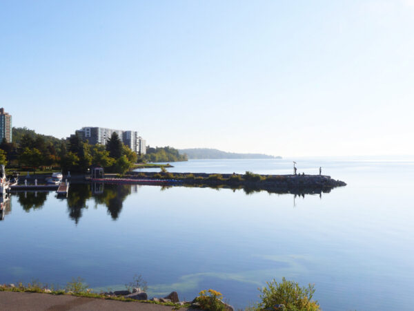 Website-with-logo-IMG_0692-scaled